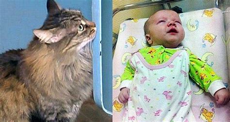 K­a­h­r­a­m­a­n­ ­K­e­d­i­ ­B­e­b­e­ğ­i­ ­Ö­l­ü­m­d­e­n­ ­K­u­r­t­a­r­d­ı­